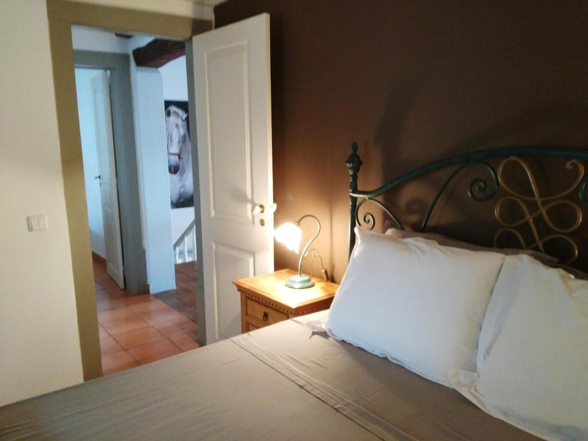 Quinta Do Outeiro Bed & Breakfast Vila Nova de Poiares Dış mekan fotoğraf