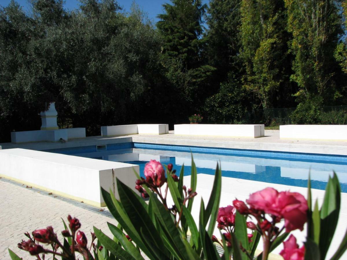 Quinta Do Outeiro Bed & Breakfast Vila Nova de Poiares Dış mekan fotoğraf