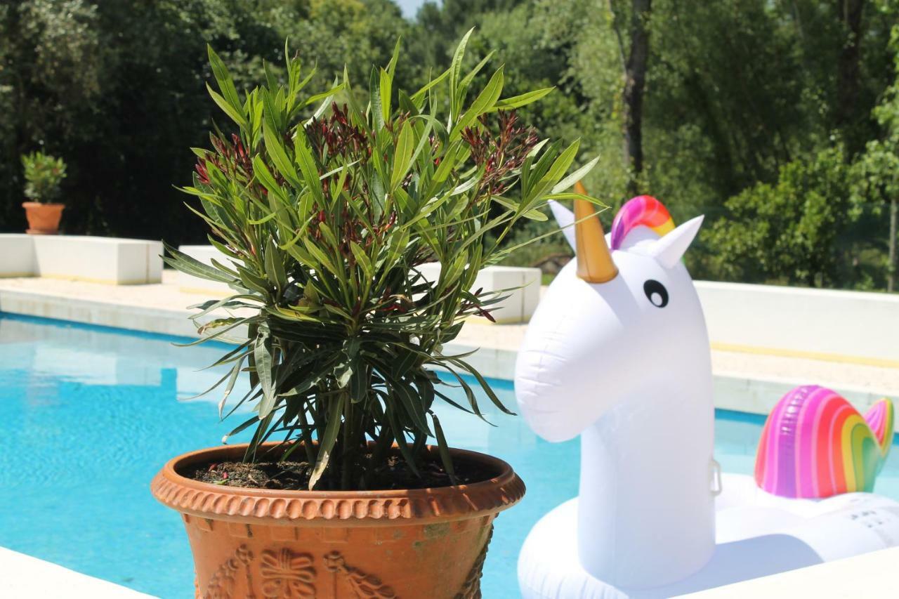 Quinta Do Outeiro Bed & Breakfast Vila Nova de Poiares Dış mekan fotoğraf