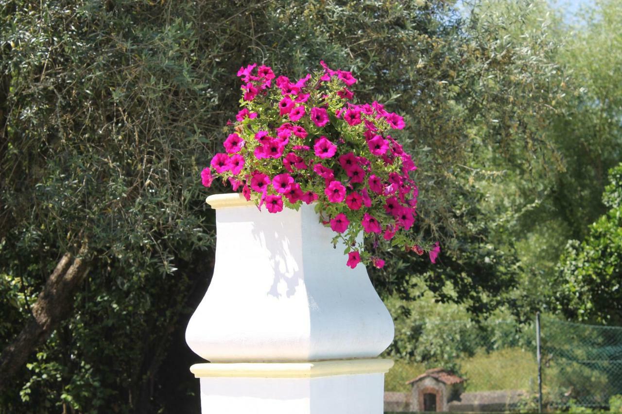 Quinta Do Outeiro Bed & Breakfast Vila Nova de Poiares Dış mekan fotoğraf
