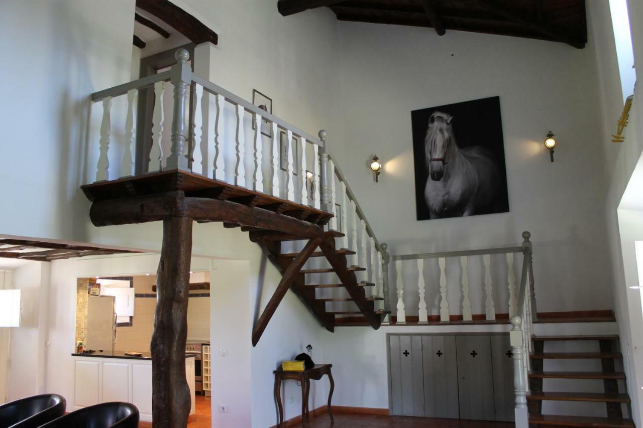 Quinta Do Outeiro Bed & Breakfast Vila Nova de Poiares Dış mekan fotoğraf